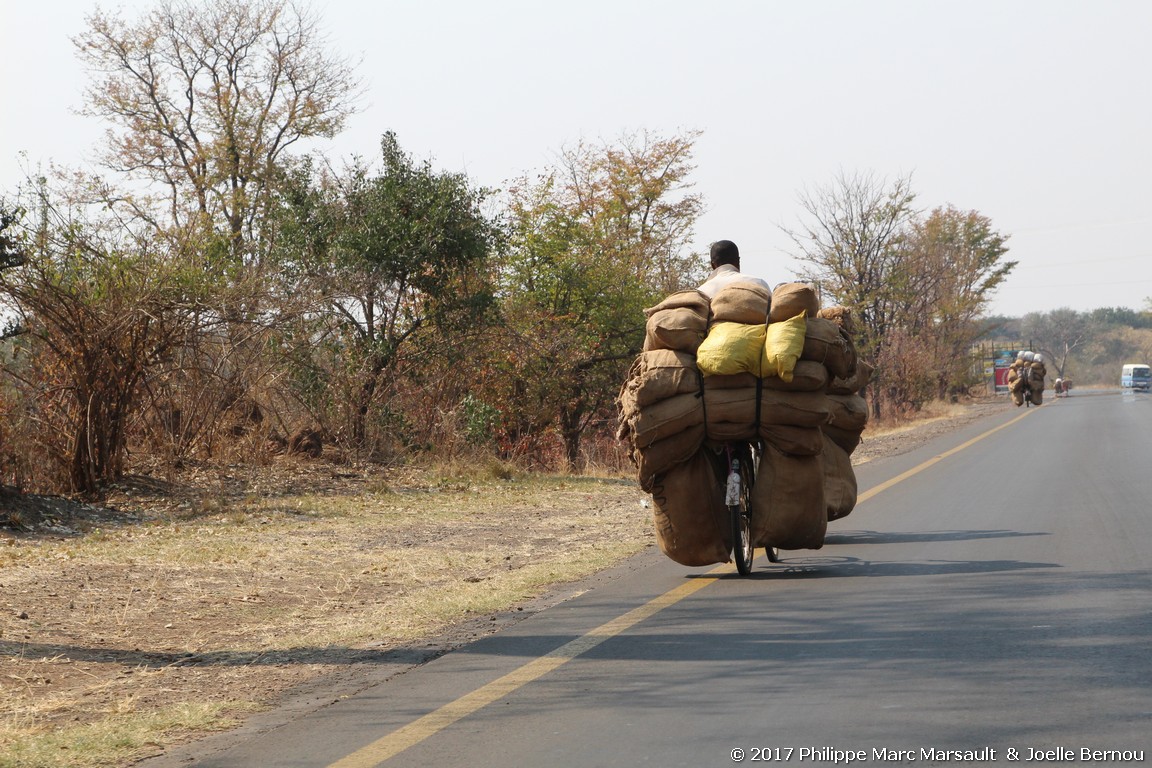 /ecran/Botswana_2017_1656.jpg