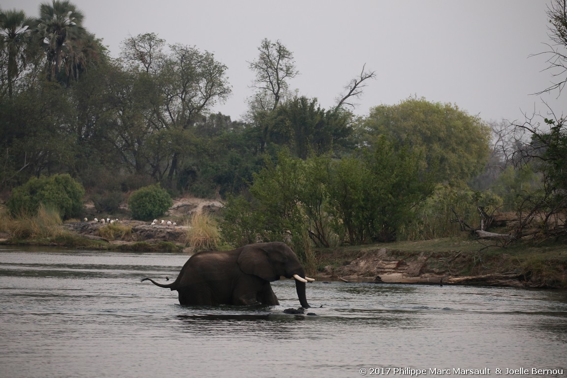 /ecran/Botswana_2017_1747.jpg