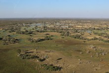 vignette Botswana_2017_0049.jpg 