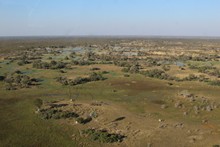 vignette Botswana_2017_0049.jpg 