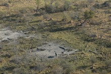 vignette Botswana_2017_0059.jpg 