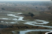 vignette Botswana_2017_0082.jpg 