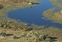 vignette Botswana_2017_0087.jpg 