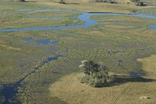 vignette Botswana_2017_0096.jpg 