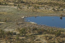 vignette Botswana_2017_0118.jpg 