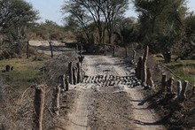 vignette Botswana_2017_0154.jpg 