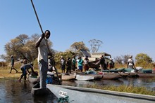 vignette Botswana_2017_0187.jpg 