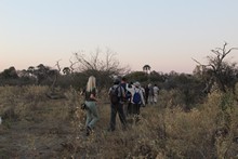 vignette Botswana_2017_0296.jpg 