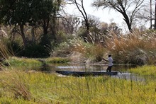 vignette Botswana_2017_0356.jpg 