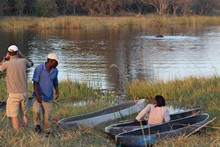 vignette Botswana_2017_0386.jpg 