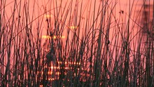 vignette Botswana_2017_0404.jpg 
