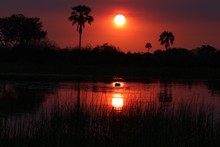 vignette Botswana_2017_0410.jpg 