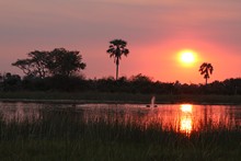 vignette Botswana_2017_0412.jpg 