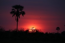 vignette Botswana_2017_0423.jpg 