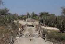 vignette Botswana_2017_0454.jpg 