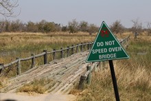 vignette Botswana_2017_0549.jpg 