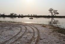 vignette Botswana_2017_0811.jpg 