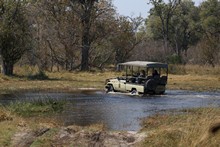 vignette Botswana_2017_0902.jpg 