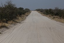 vignette Botswana_2017_1017.jpg 