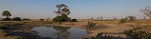 vignette Botswana_2017_1042.jpg 