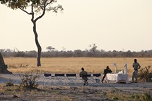 vignette Botswana_2017_1054.jpg 