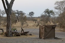 vignette Botswana_2017_1072.jpg 