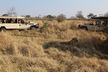 vignette Botswana_2017_1094.jpg 