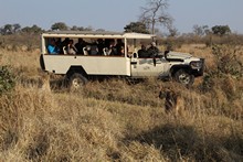 vignette Botswana_2017_1102.jpg 