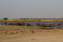 vignette Botswana_2017_1170.jpg 