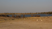 vignette Botswana_2017_1171.jpg 