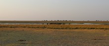 vignette Botswana_2017_1195.jpg 