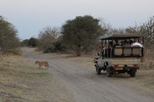 vignette Botswana_2017_1249.jpg 