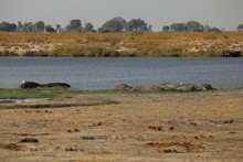 vignette Botswana_2017_1401.jpg 