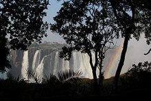 vignette Botswana_2017_1497.jpg 