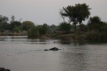 vignette Botswana_2017_1736.jpg 