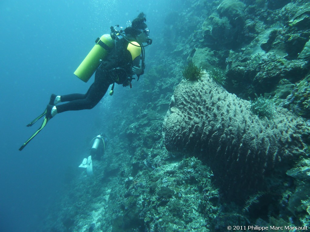 /ecran/Indonesie_2011_0139.jpg
