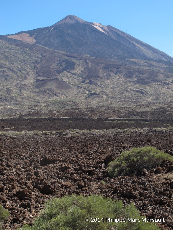 /ecran/Canaries_2014_0028.jpg