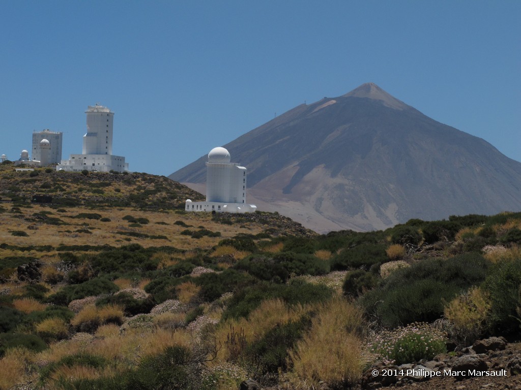 /ecran/Canaries_2014_0089.jpg