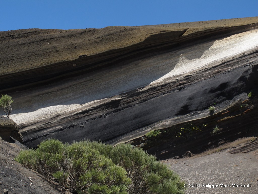 /ecran/Canaries_2014_0098.jpg