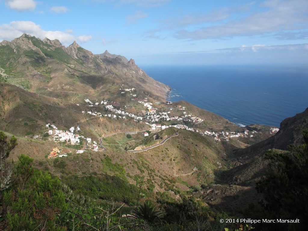 /ecran/Canaries_2014_0133.jpg