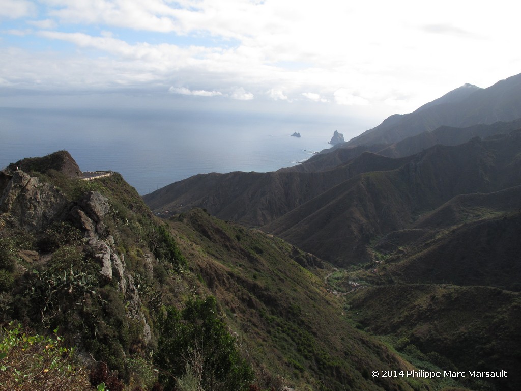 /ecran/Canaries_2014_0134.jpg