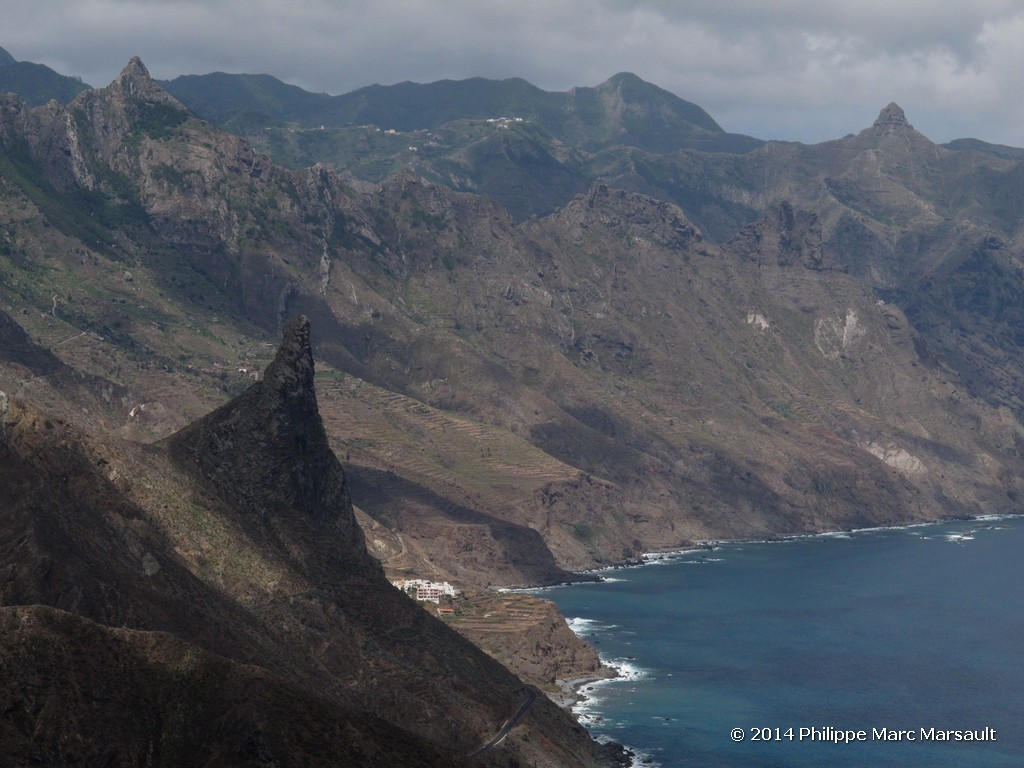 /ecran/Canaries_2014_0172.jpg