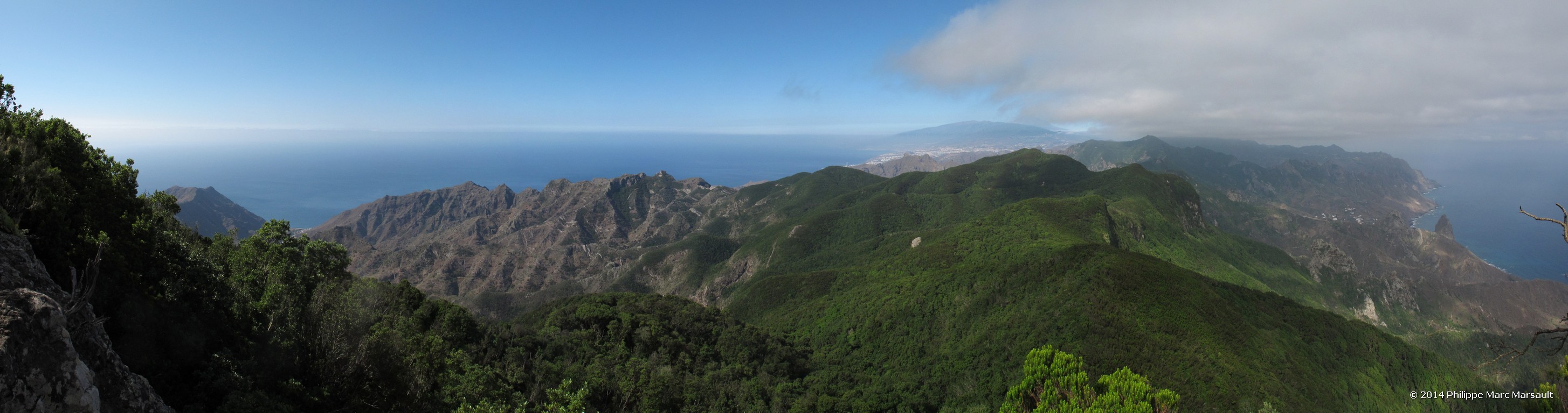 /ecran/Canaries_2014_0216.jpg