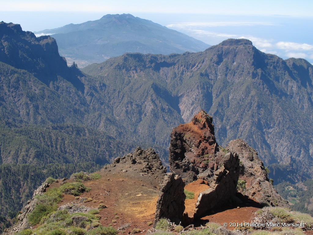 /ecran/Canaries_2014_0385.jpg