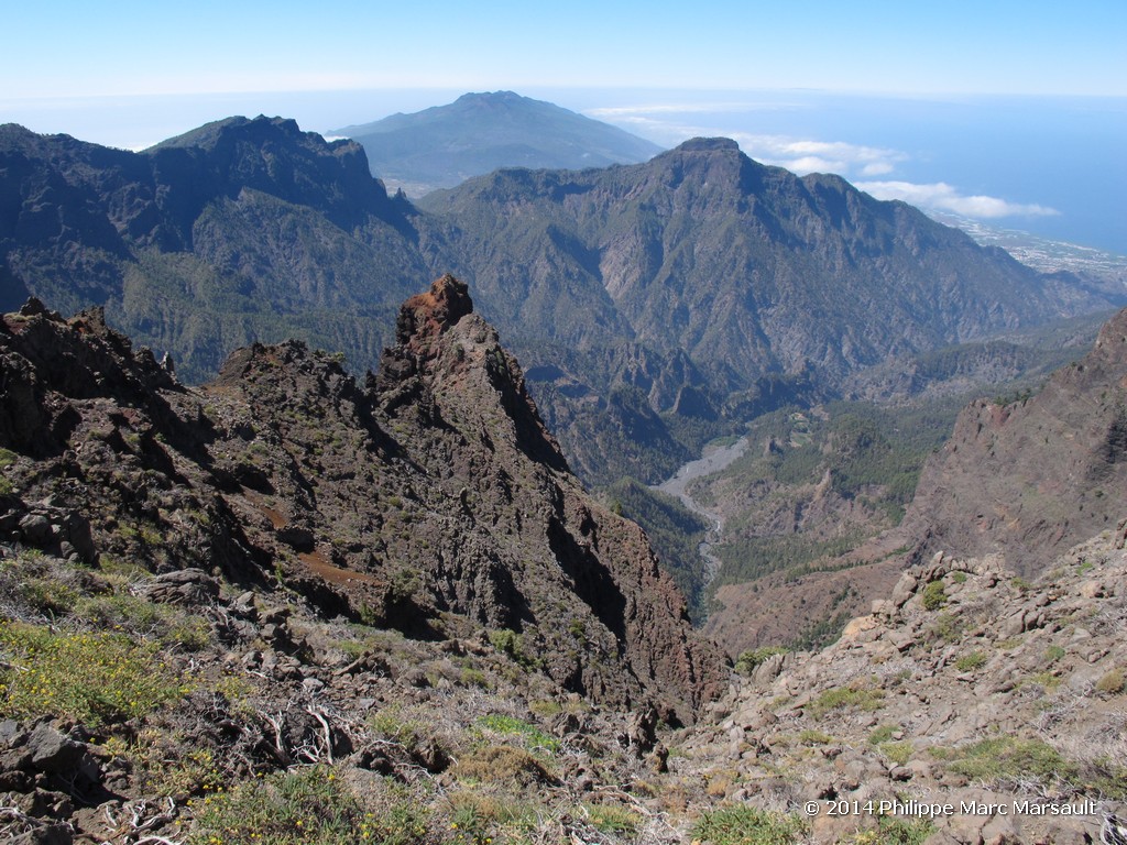 /ecran/Canaries_2014_0388.jpg