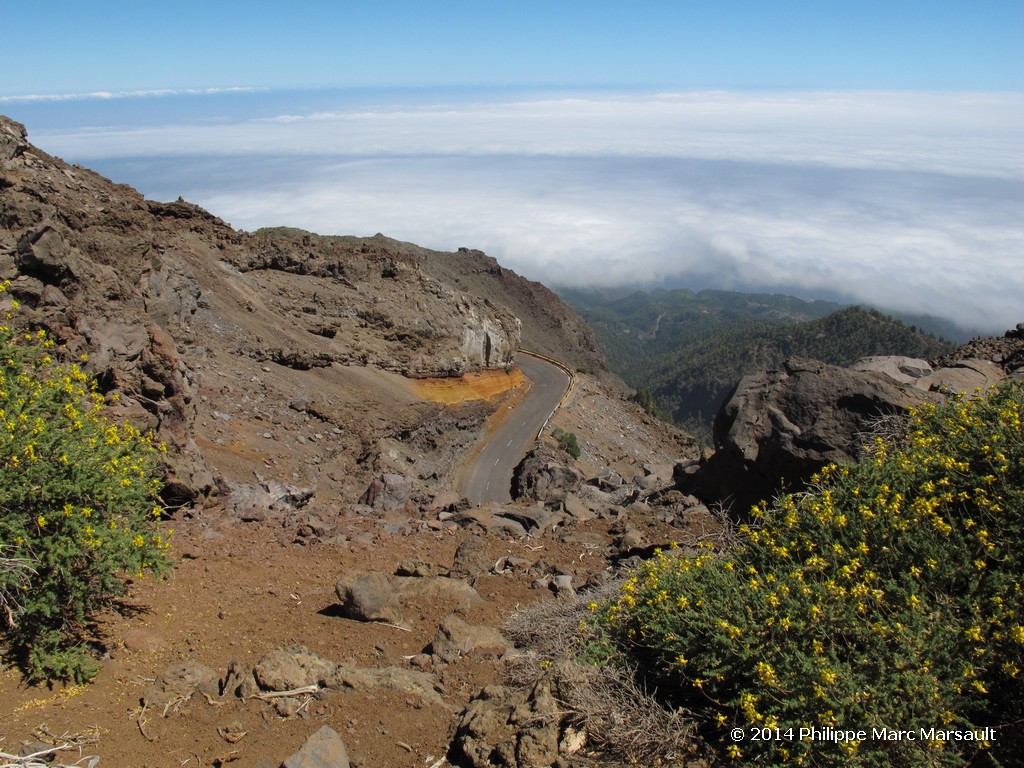 /ecran/Canaries_2014_0389.jpg