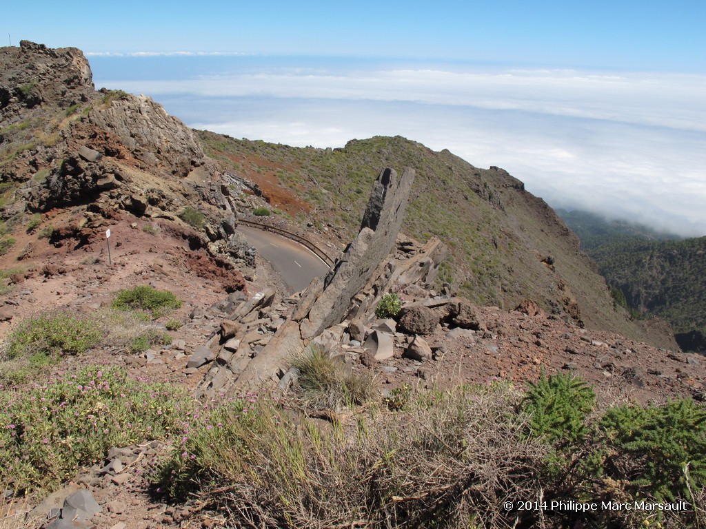 /ecran/Canaries_2014_0394.jpg