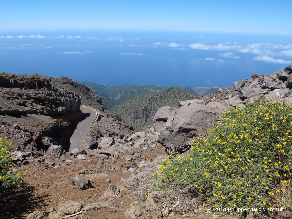 /ecran/Canaries_2014_0446.jpg