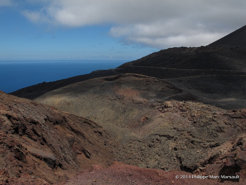 /ecran/Canaries_2014_0492.jpg