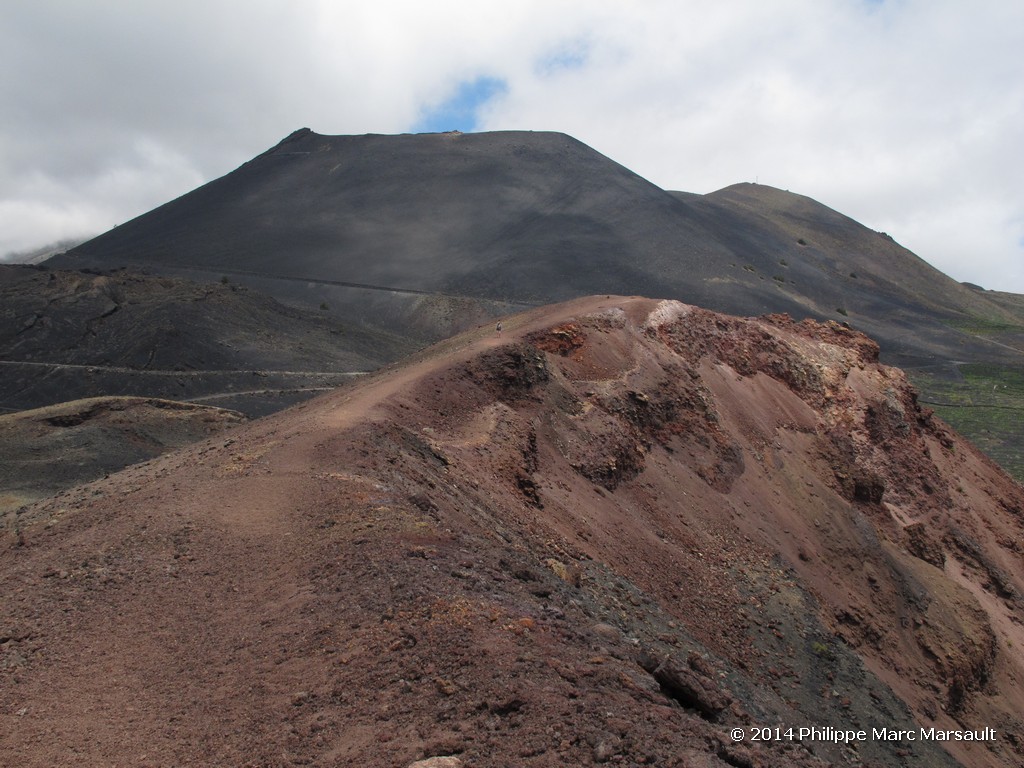 /ecran/Canaries_2014_0503.jpg